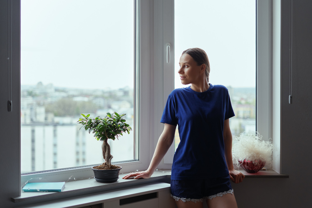 Omaha Bay & Bow Windows